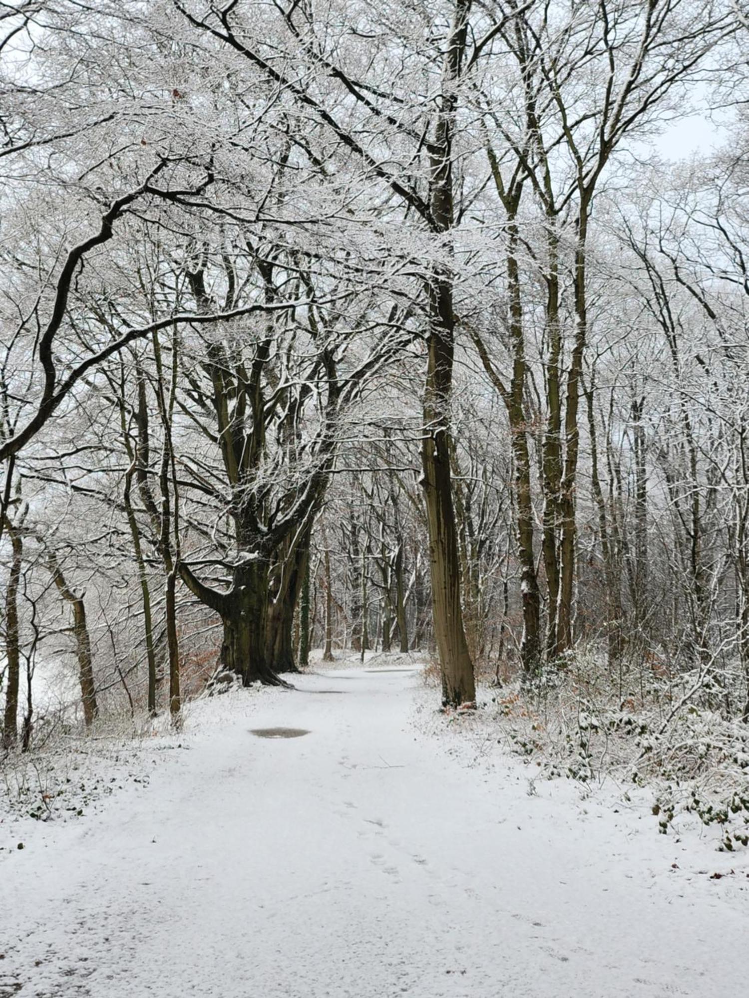 Huize Koempoelan Bed & Breakfast Naarden Bagian luar foto